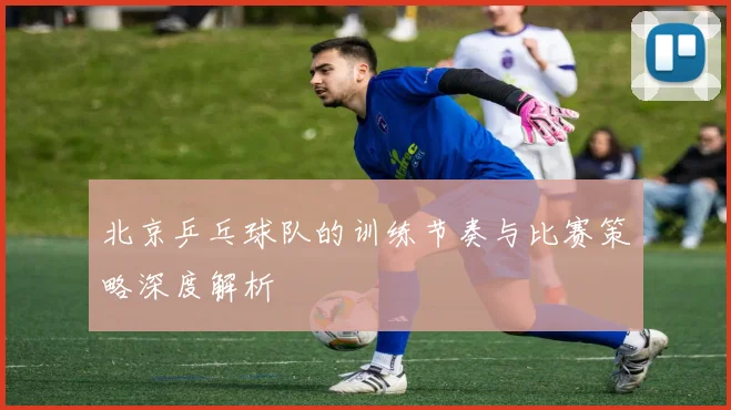 北京乒乓球队的训练节奏与比赛策略深度解析