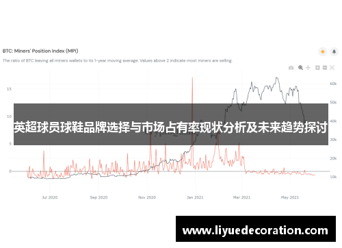 英超球员球鞋品牌选择与市场占有率现状分析及未来趋势探讨