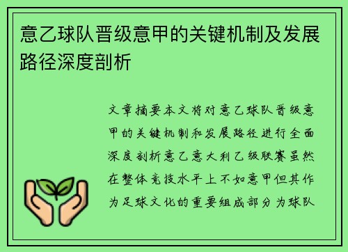 意乙球队晋级意甲的关键机制及发展路径深度剖析