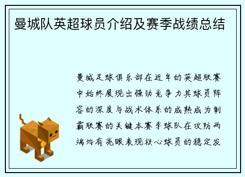 曼城队英超球员介绍及赛季战绩总结
